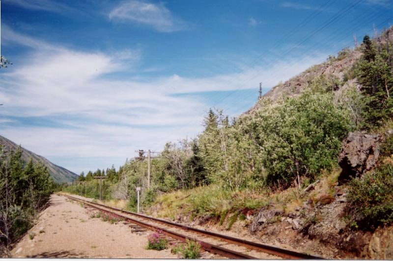 The White Pass & Yukon Route railway at Milepost 55 - August 2001.