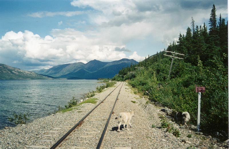 The White Pass & Yukon Route railway at Mile 62.