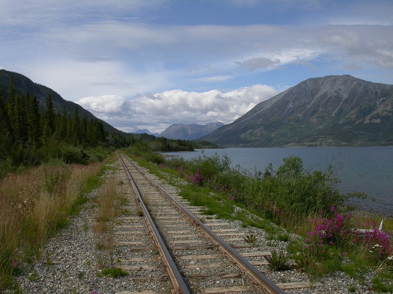 The White Pass & Yukon Route railway at Mile 67