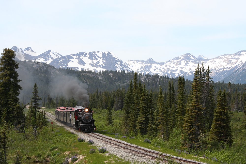 WP&YR Baldwin Steam Locomotive 73